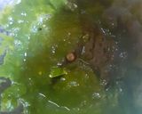 পালক আন্ডা পোচ কারি (palak anda poach curry recipe in bengali) রেসিপির ধাপ 1 ছবি