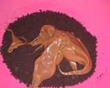 Foto del paso 3 de la receta: Trufas de oreo