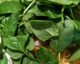 Lazacos tészta recept fázis 2 fotója