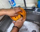 Foto del paso 13 de la receta: Estofado de pollo