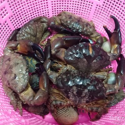 Langkah 1