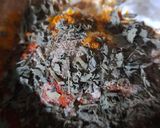 A picture of step 2 of Paneer Tikka Masala.