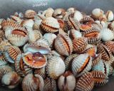 Foto langkah ke 3 dari resep Kerang Dara Saus Padang.