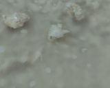 Foto del paso 1 de la receta: Soya hidrátala bien
