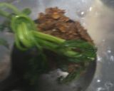 Foto langkah ke 8 dari resep 169. Batagor dan Pangsit Ayam Kuah.