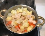 A picture of step 2 of Japanese Curry.