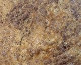 صورة لخطوة 2 من وصفة بسبوسة الشعيريه 🤤