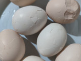 Telur Pindang Marble Bunga Telang