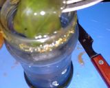 Foto del paso 7 de la receta: Salsa de tomate estilo italiano