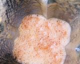A picture of step 2 of Mixed fruit drink.