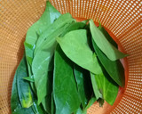 Foto langkah ke 1 dari resep Cingcau daun Perdu.