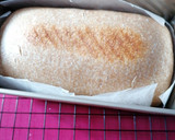 Foto del paso 6 de la receta: Pan de molde espelta integral con masa madre