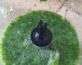 Foto langkah ke 3 dari resep Jus Hipertensi (Daun Seledri dan Belimbing).