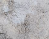 Foto del paso 1 de la receta: Budín de limón integral