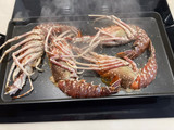 Langosta a la plancha