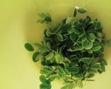 Foto langkah ke 2 dari resep Kuah Bening Tempe Daun kelor.