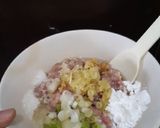 Foto langkah ke 1 dari resep Pangsit Kecap.