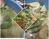 Foto del paso 3 de la receta: Caldo de Quilete o Macuy