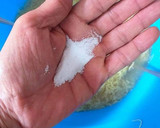 Foto del paso 7 de la receta: Seffa de pargo con pasas sultanas gigantes y orejones