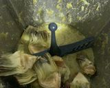 Foto del paso 2 de la receta Alcachofas con cerveza thermomix
