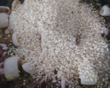 Foto del paso 2 de la receta: Arroz con chipirones y bonito