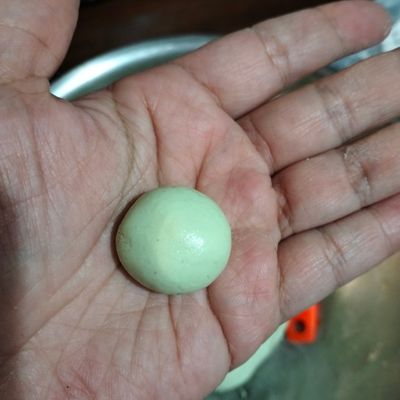 Langkah 4