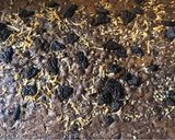 Foto langkah ke 5 dari resep Fudgy Brownies with Shiny Crust (2 Telur).
