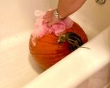 A picture of step 1 of How to Carve a Pumpkin for Halloween!.