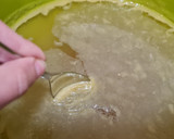 Foto del paso 6 de la receta: Puré de chirivías y boniato/ caldo de pollo