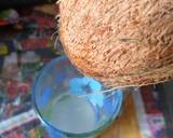 Grated Dessicated coconut recipe step 1 photo