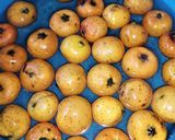 Foto del paso 1 de la receta: Ponche con jamaica y tamarindo