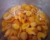 A picture of step 2 of Imli or khubani ki khutti meethi chutney❤❤.