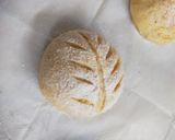 Foto langkah ke 6 dari resep Sourdough Hybrid Gandum Polos.