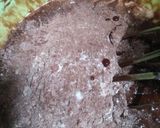 Foto langkah ke 3 dari resep Brownise Panggang Topping Keju.