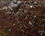Foto del paso 8 de la receta: Brownie con banana y chocolino✨