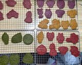 倉鼠專屬磨牙餅乾～（烘乾機的食譜步驟4照片