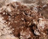 Foto del paso 5 de la receta: Galletas con Cacao Puro Estilo Nueva York