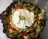 Une image de l'étape 8 de Salade feuille de chêne rouge aux tomates roses,mozzarella di buffala et fleurs d ail triquetre.