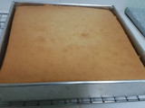 Sponge cake no pengembang