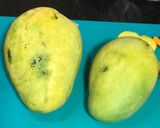 A picture of step 1 of Kolkata Special: Bhapa Aam-Sandesh/Mango Ice Cream Sandesh.