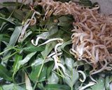 Foto langkah ke 4 dari resep Tumis kangkung dan touge saus tiram.