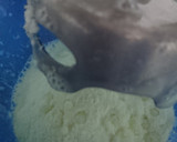 Foto del paso 2 de la receta: Leche condensada 🍶