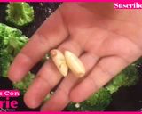 Foto del paso 2 de la receta: Crema de Brócoli