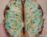 Foto langkah ke 21 dari resep Blue-Orange Sprinkles Sourdough Bread.