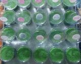 Foto langkah ke 4 dari resep Pudding Lumut Pandan (isian snack box).