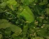 પાલક મગ ની દાળ (Palak Moong Dal Recipe In Gujarati) રેસીપી સ્ટેપ1ફોટો