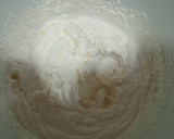 Foto del paso 3 de la receta: Postre de frambuesas con nata