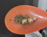 Foto langkah ke 5 dari resep Nasi Kebuli KW Kare Rice Cooker.