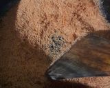 A picture of step 3 of Kesar Pista Rabdi In Qiwami Seviyan Bowl.