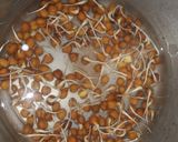 முளைகட்டிய கொண்டைக்கடலை சாலட் (Mulaikattiya kondakadalai salad recipe in tamil) ரெசிபி ஸ்டேப் 2 புகைப்படம்